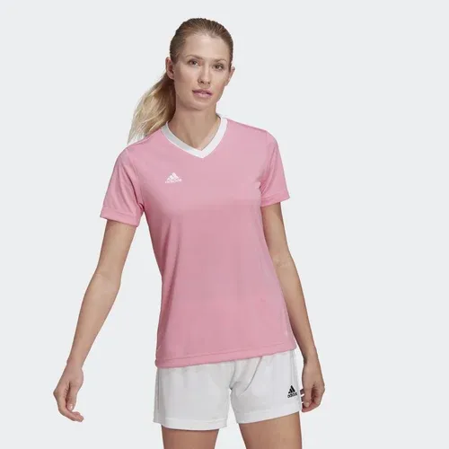 adidas Camiseta Entrada 22 (8431029)