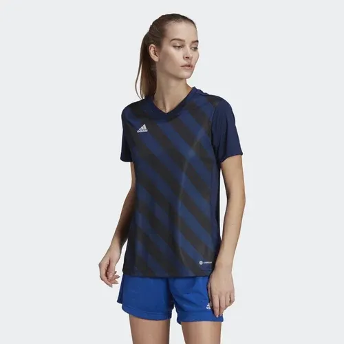 adidas Camiseta Entrada 22 Graphic (8432153)