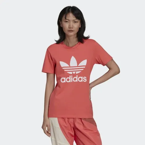 adidas Camiseta Adicolor Classics Trefoil (8431369)