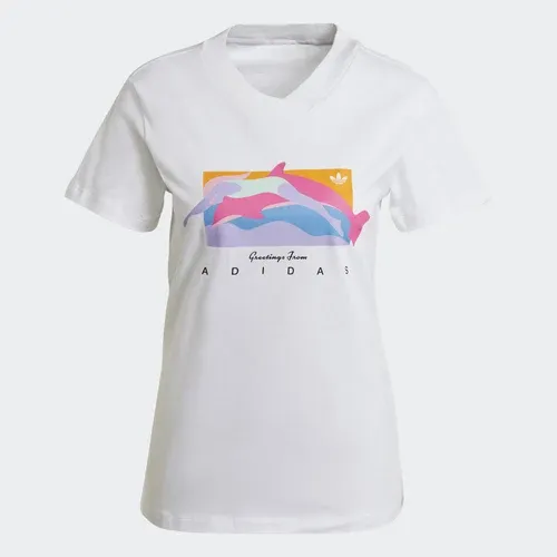 adidas Camiseta Fakten Graphic (8424831)