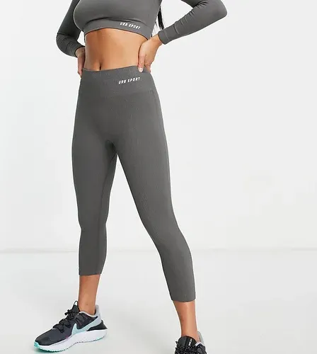 Leggings grises deportivos sin costuras de Urban Threads Petite (8033709)