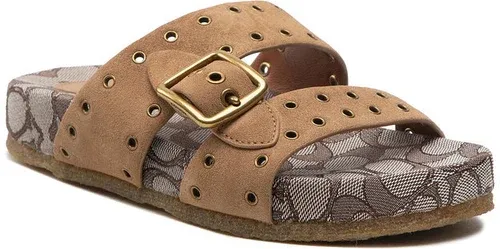 Chanclas Coach (8336343)