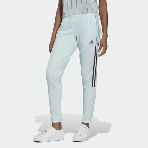 adidas Pantalón Tiro (8425154)