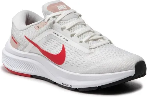 Zapatos Nike (8961142)